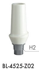Zirconium Abutments