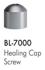 Screw-Retained Restorations